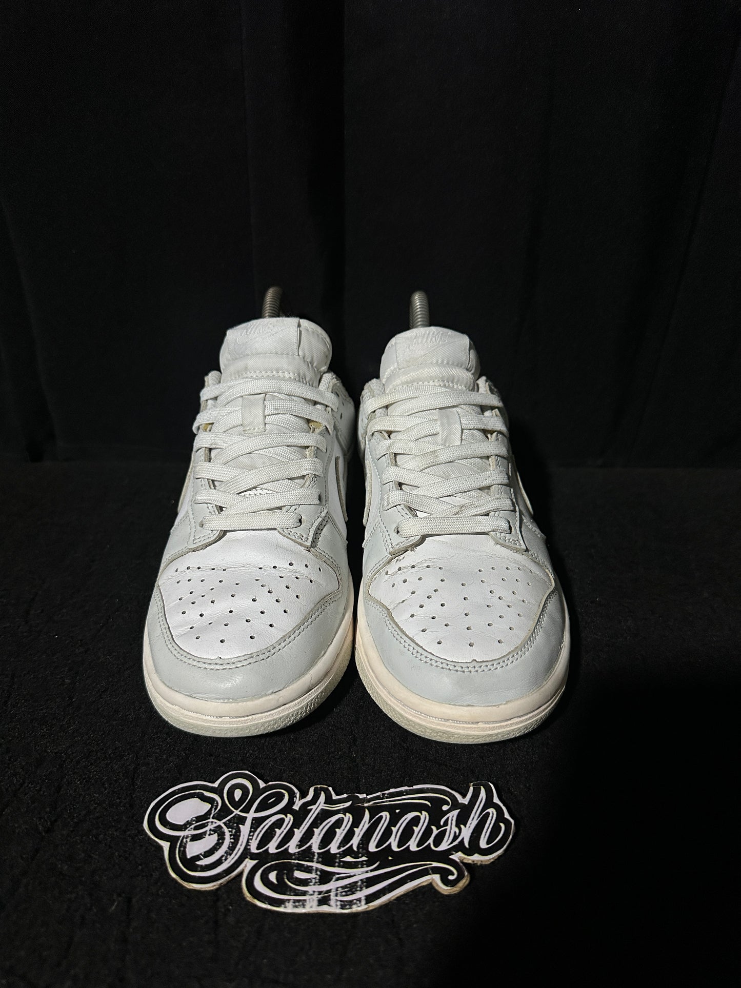 Nike Classic "DUNK" (PHOTON DUST WHITE) Low